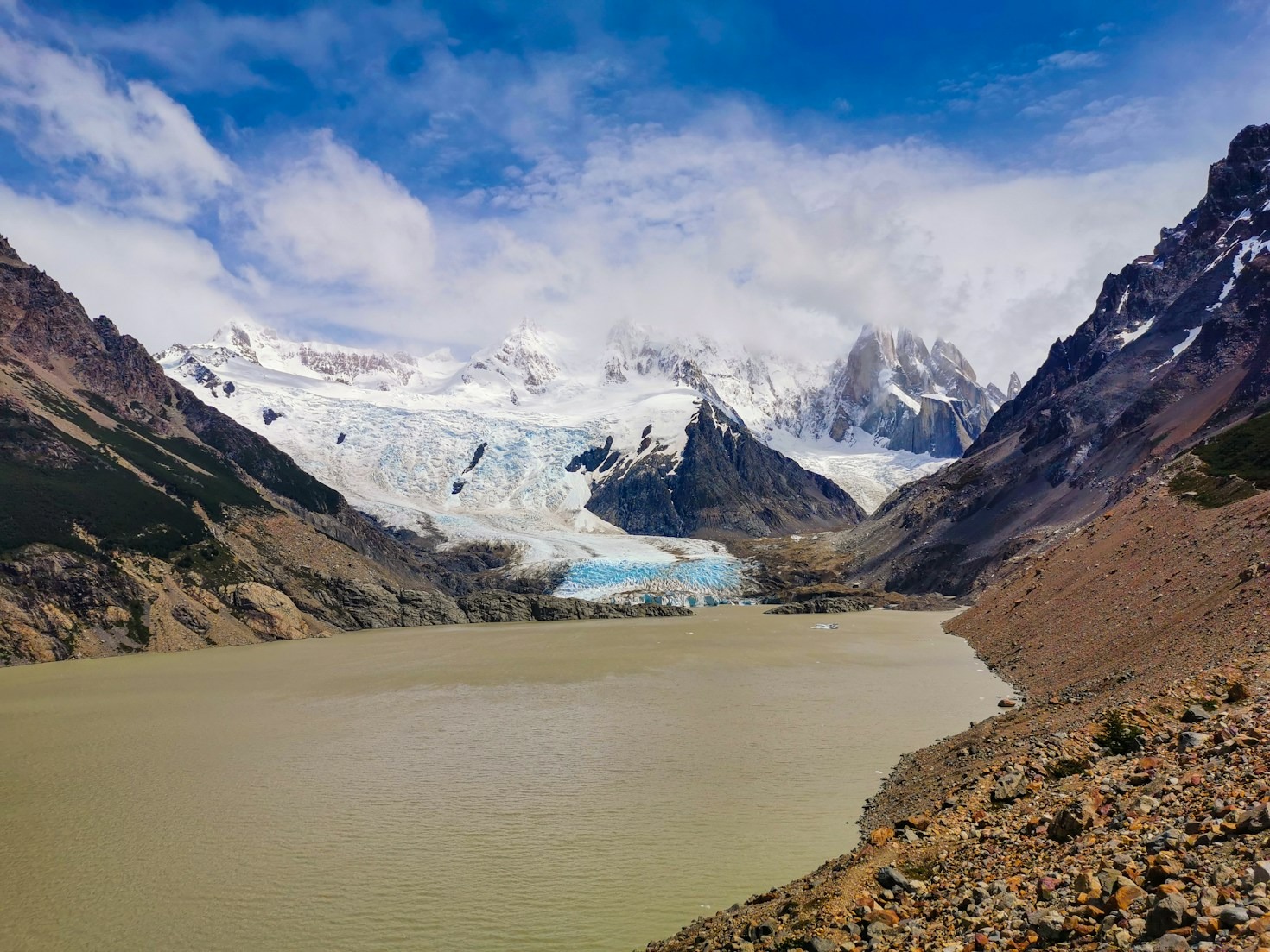 Conexión natural: La Patagonia y su biodiversidad